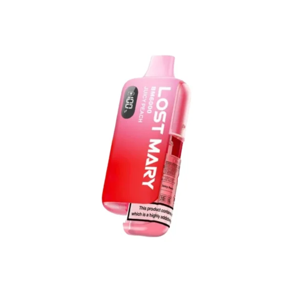 20mg LOST MARY BM6000 Refillable Pod Kit - 6000 Puffs - Image 30